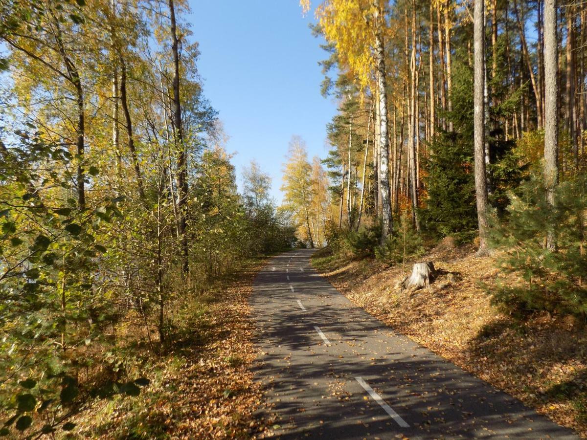 Vila Rozinka Lipno ลิปโนนัดเวิลตาวู ภายนอก รูปภาพ