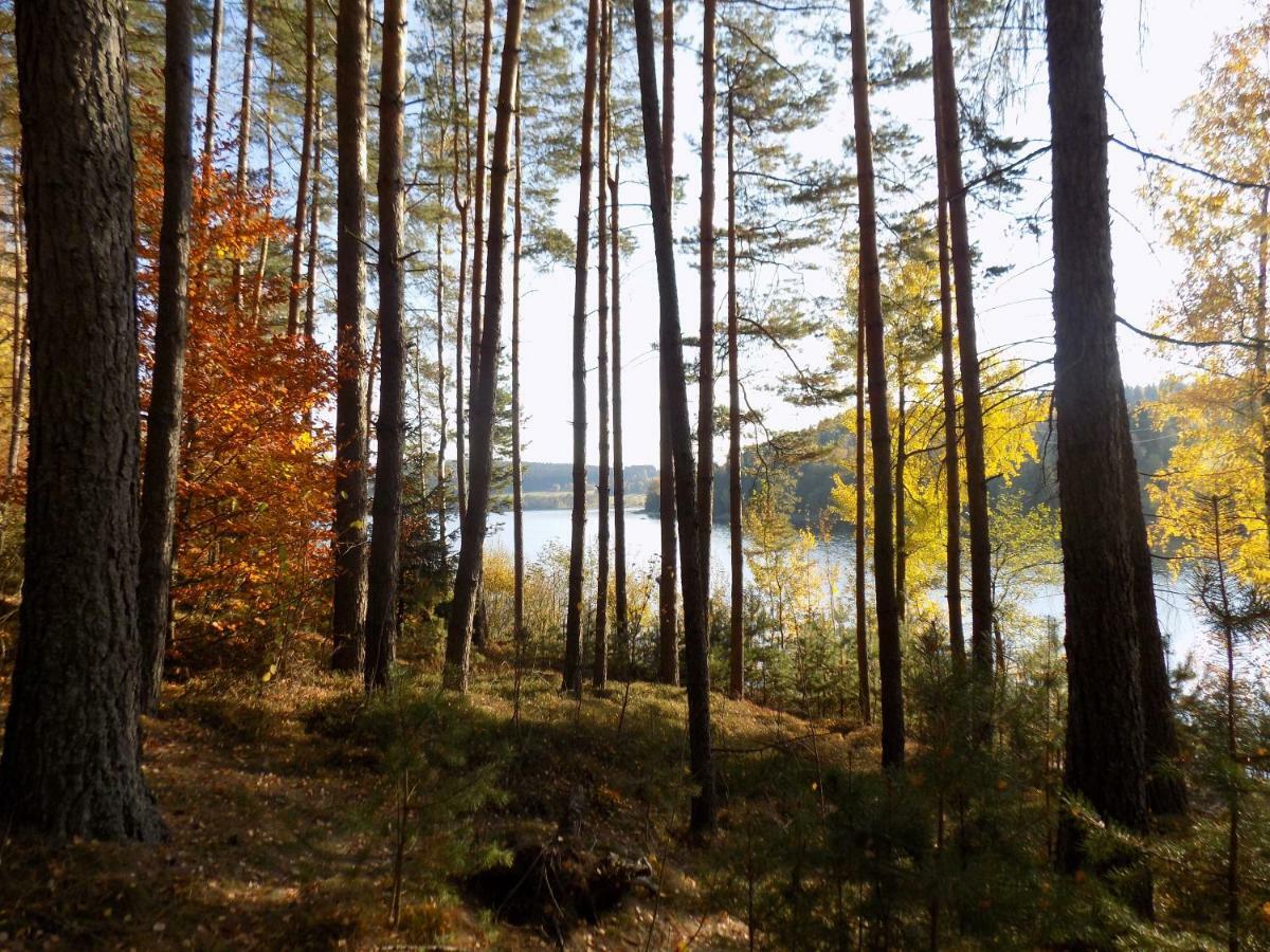 Vila Rozinka Lipno ลิปโนนัดเวิลตาวู ภายนอก รูปภาพ